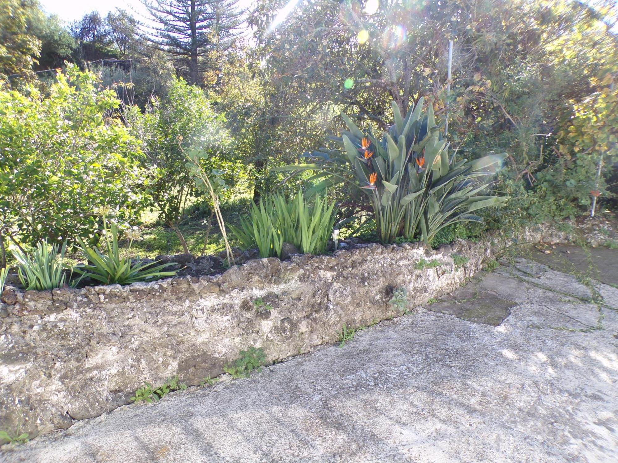 Casa Dieguito, Ferienhaus *