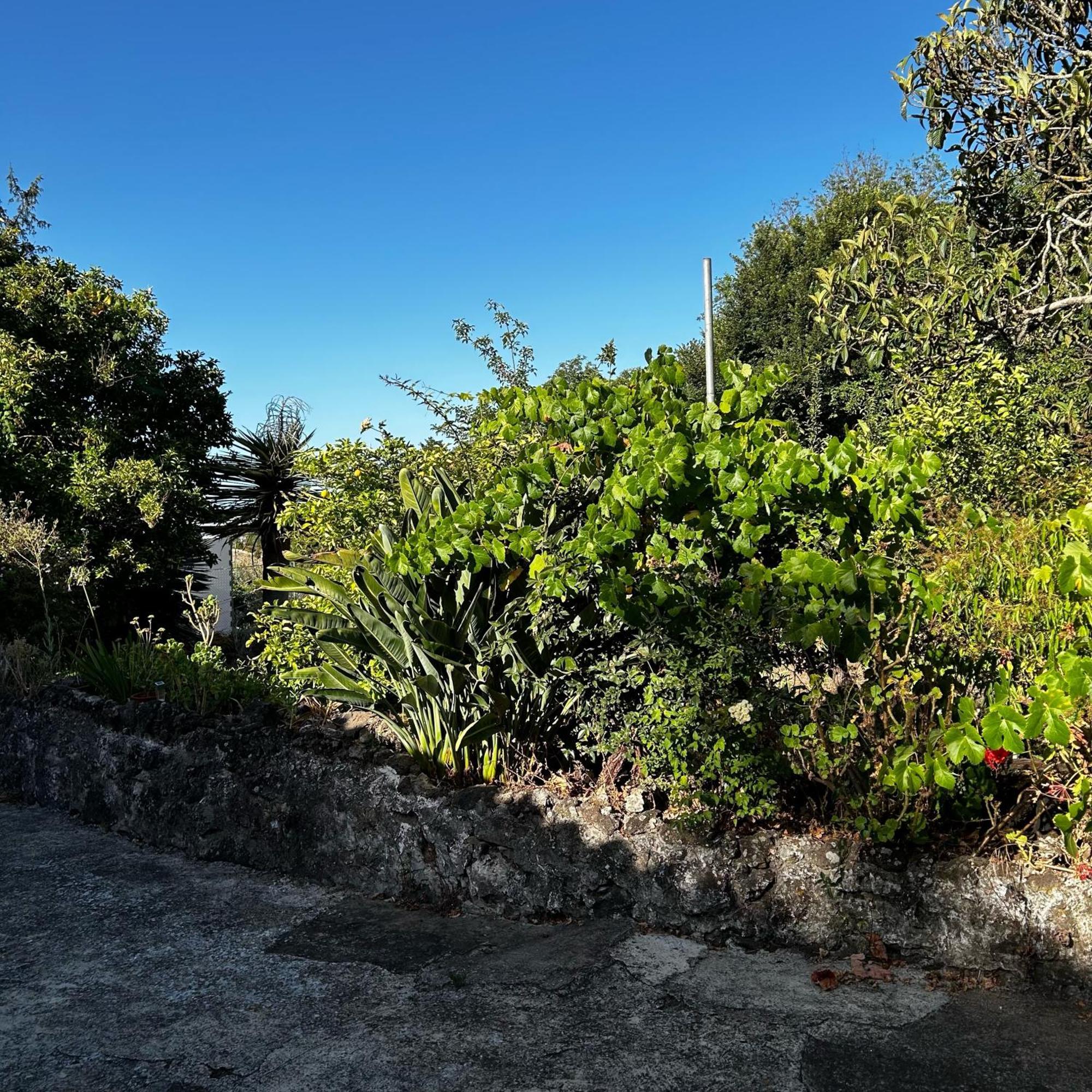 Ferienhaus Casa Dieguito, *